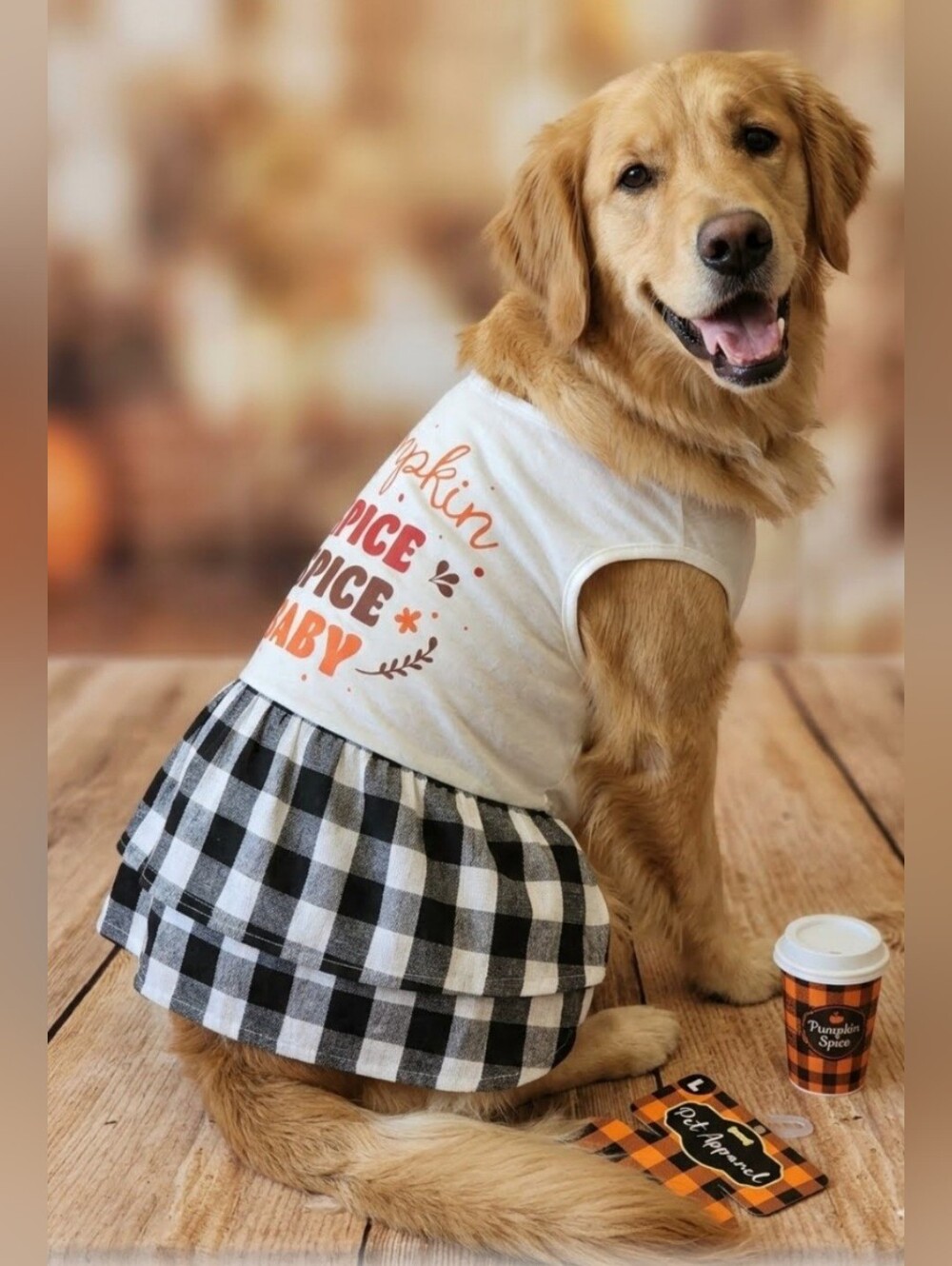 Pumpkin Spice Dog Dress - Buffalo Black Plaid Pet Outfit NWT